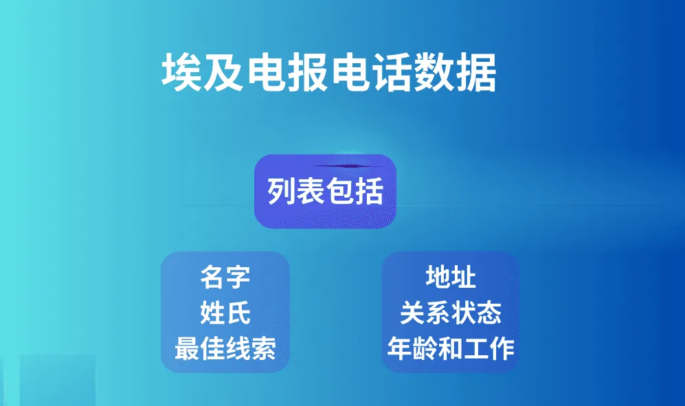 埃及电报电话数据