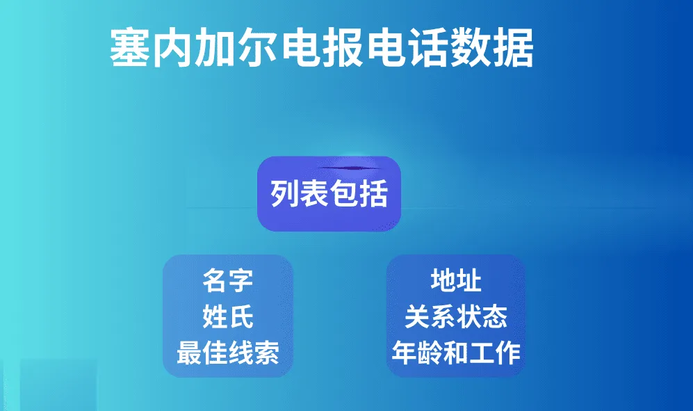 塞内加尔电报电话数据