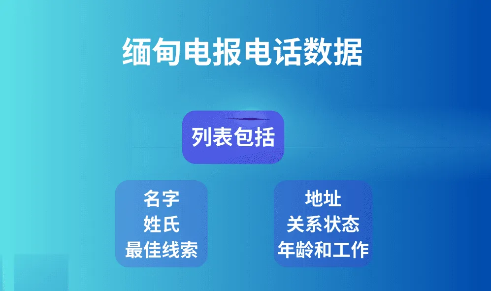 缅甸电报电话数据