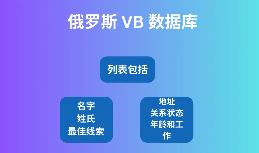 俄罗斯 VB 数据库