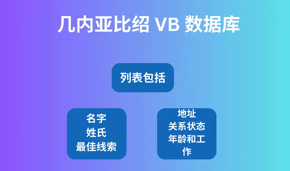 几内亚比绍 VB 数据库
