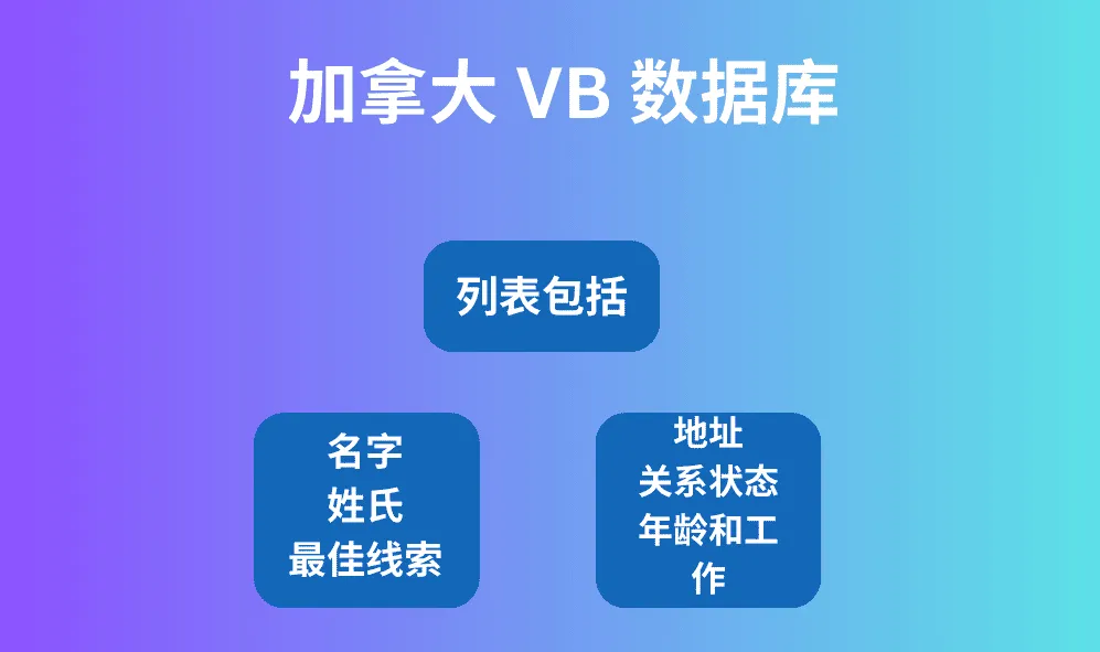 加拿大 VB 数据库