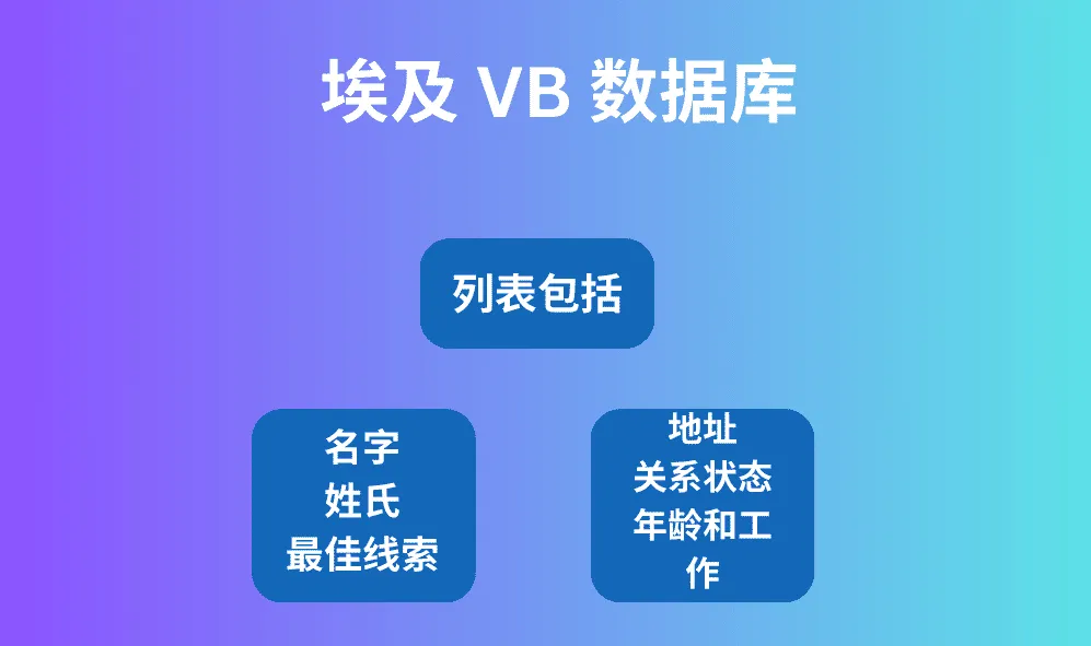 埃及 VB 数据库