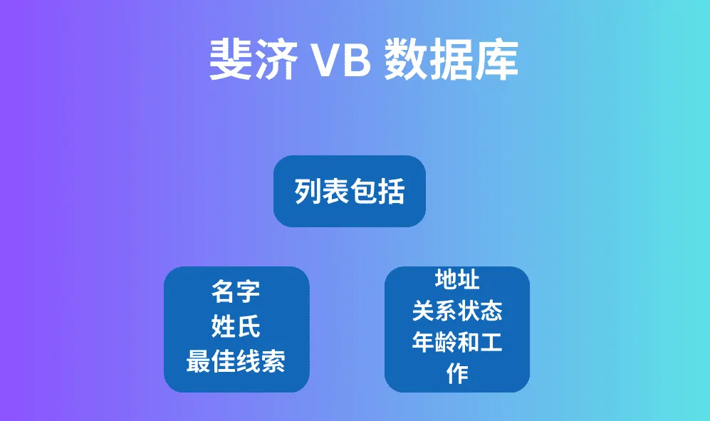 斐济 VB 数据库