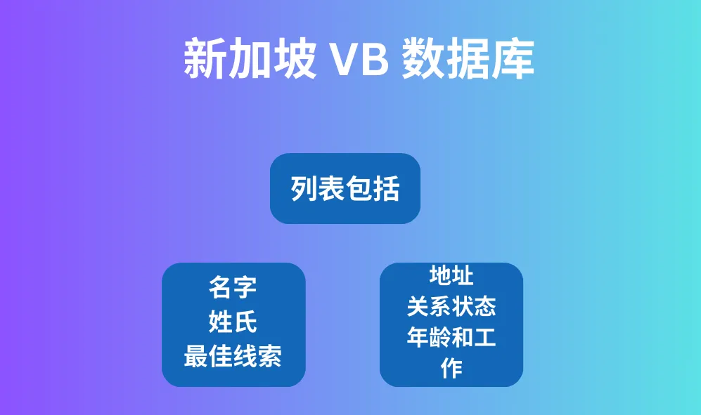 新加坡 VB 数据库