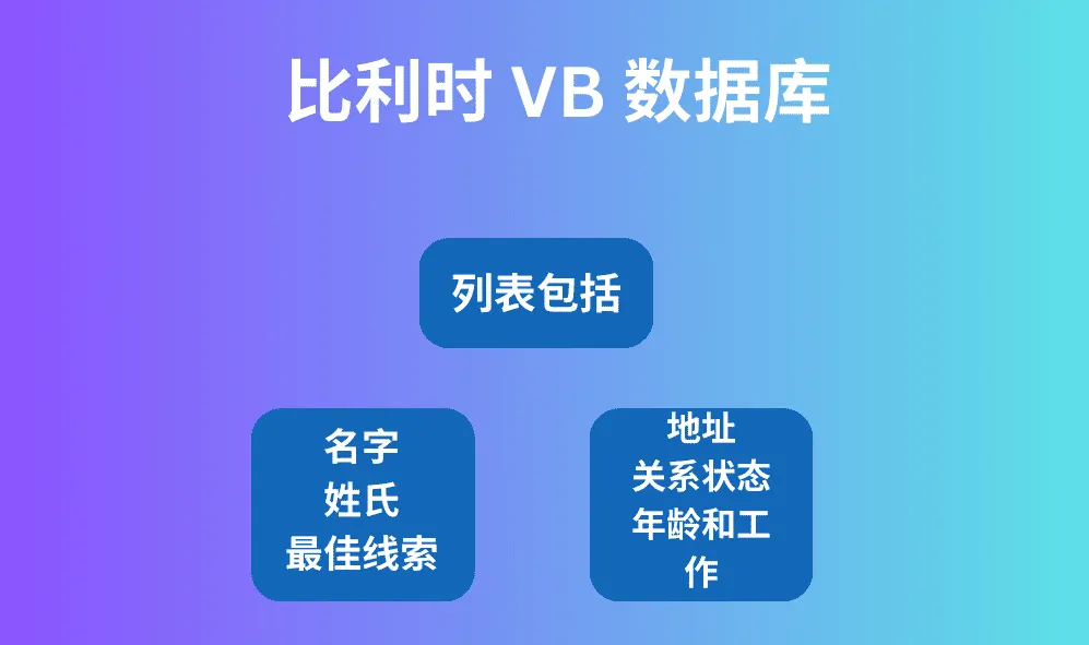 比利时 VB 数据库