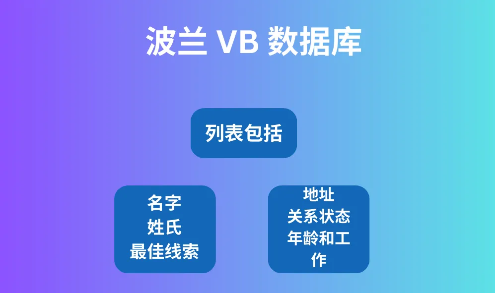 波兰 VB 数据库