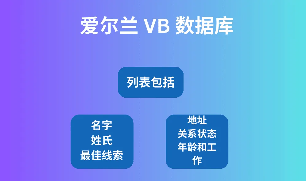 爱尔兰 VB 数据库