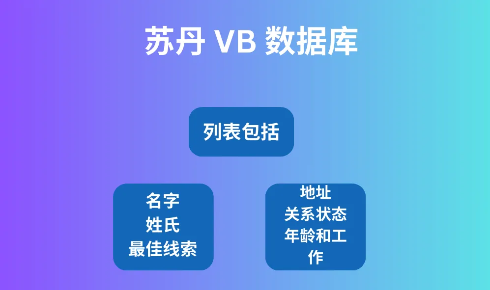 苏丹 VB 数据库