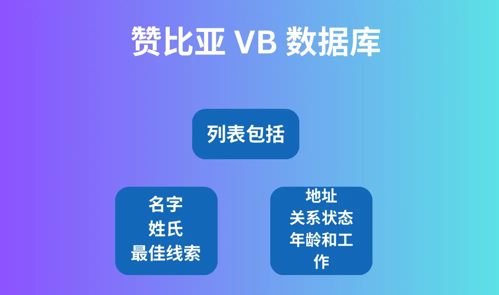 赞比亚 VB 数据库