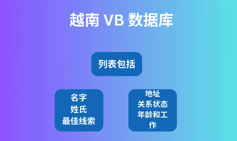 越南 VB 数据库
