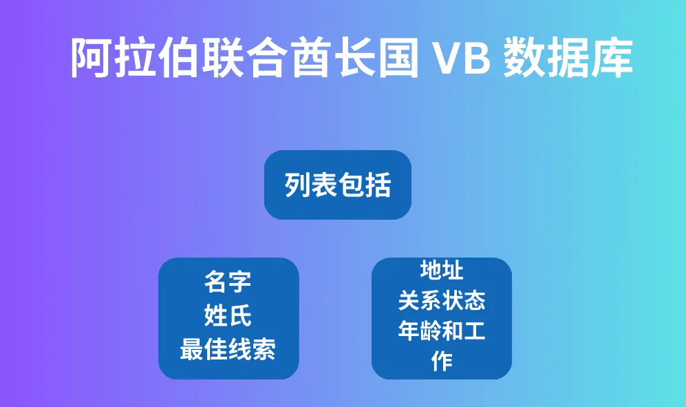 阿拉伯联合酋长国 VB 数据库