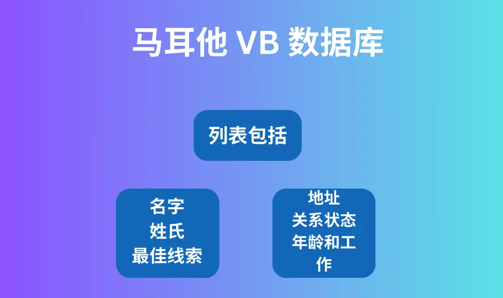 马耳他 VB 数据库